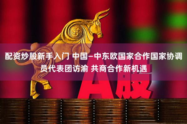 配资炒股新手入门 中国—中东欧国家合作国家协调员代表团访渝 共商合作新机遇